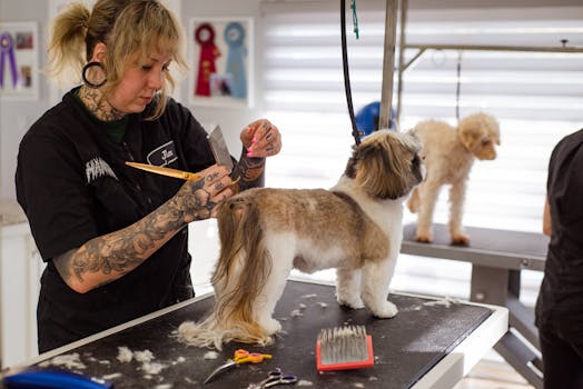 Professional Pet Grooming vs DIY Home Grooming Compared