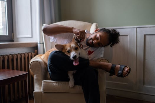 How to Groom Your Dog Tail and Rear Area Safely