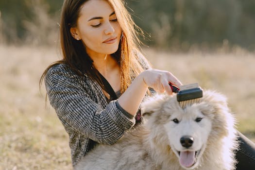 Grooming Tips for Large Breed Dogs Like Great Danes