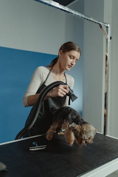 Small Dog Grooming Challenges and Solutions