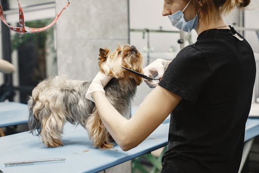 Making Grooming Fun Using Positive Reinforcement