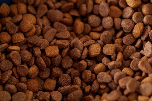 Grain-Free Dog Food Facts vs Marketing Myths