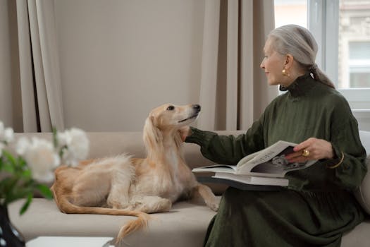 Senior Dog Nutrition How to Adjust Diet with Age