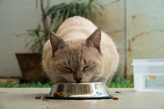 Toxic Foods Every Pet Owner Must Know and Avoid