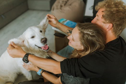 Probiotics for Dogs Benefits Dosage and Best Products
