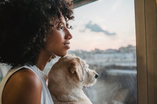 How to Safely Transition Your Dog to a New Food