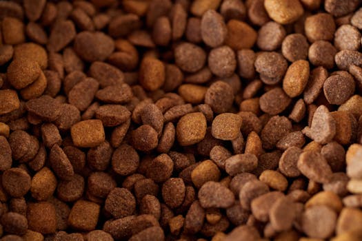 Freeze-Dried Dog Food Is It Worth the Premium Cost