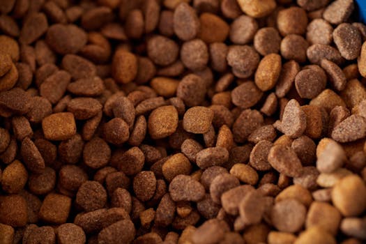 Best Foods and Diet for Dogs with Kidney Disease