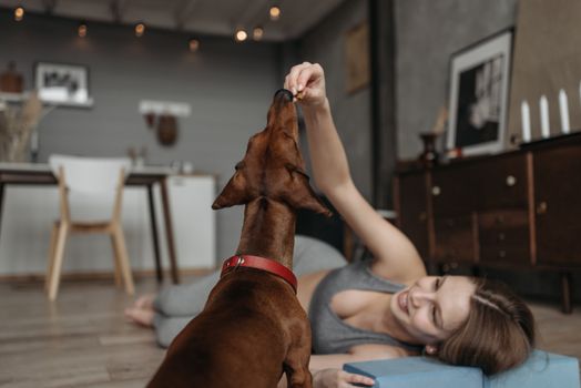 Healthy Training Treats That Will Not Make Your Dog Fat