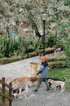 Feeding Multiple Dogs How to Prevent Food Aggression