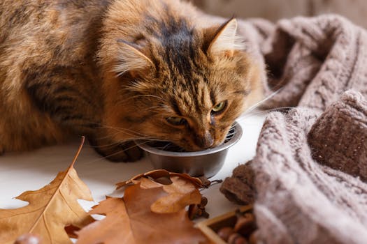 Best Anti-Inflammatory Foods for Dogs with Arthritis