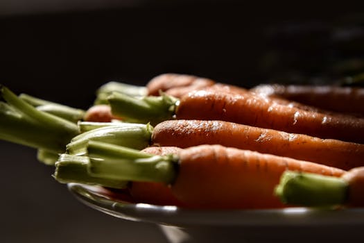 Antioxidant-Rich Foods That Benefit Aging Pets