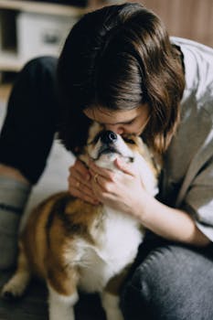 How to Know When Your Pet Needs Emergency Vet Care
