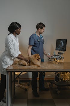 Spaying and Neutering Benefits Timing and Recovery Guide