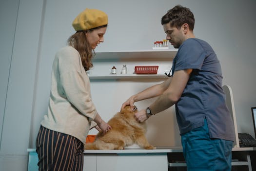 Vet-Recommended Flea and Tick Prevention Methods