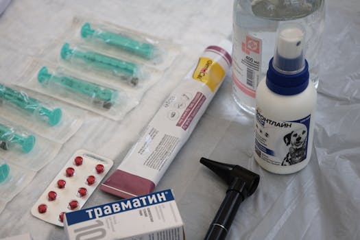 Common Medication Side Effects in Dogs What to Watch