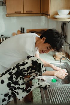 Dog Poisoning Common Household Toxins and First Aid