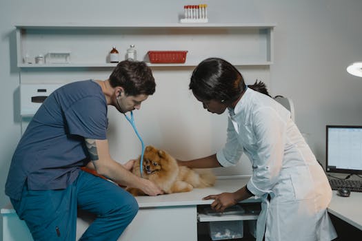 Understanding Pet Insurance Deductibles Copays and Limits