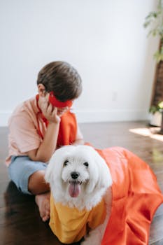Annual vs Lifetime Coverage Limits in Pet Insurance