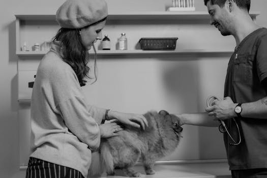 Emergency Vet Bills How Pet Insurance Can Help