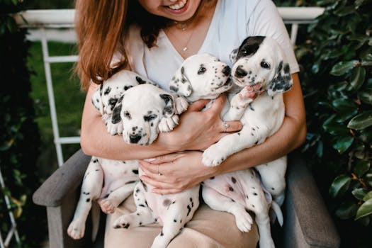 How Dog Breed Affects Pet Insurance Premiums