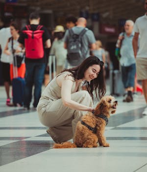International Travel Coverage in Pet Insurance Policies