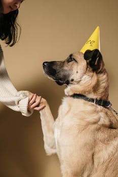 How to Switch Pet Insurance Providers Without Losing Coverage
