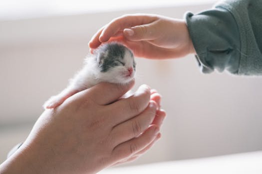 Hereditary and Congenital Condition Coverage in Pet Insurance