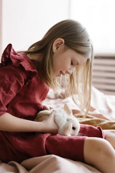 How to Compare Pet Insurance Quotes Effectively