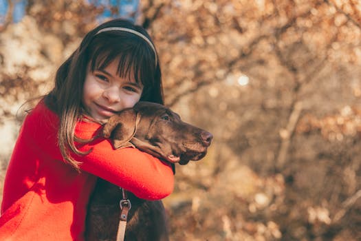 How Claims History Affects Your Future Pet Insurance