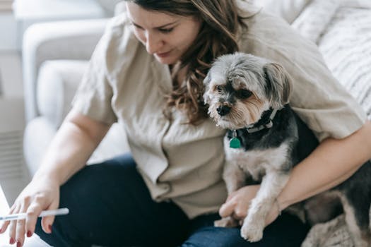 Pet Insurance Benefits for Rescue and Adopted Dogs