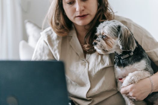 Per-Incident vs Annual Deductibles in Pet Insurance
