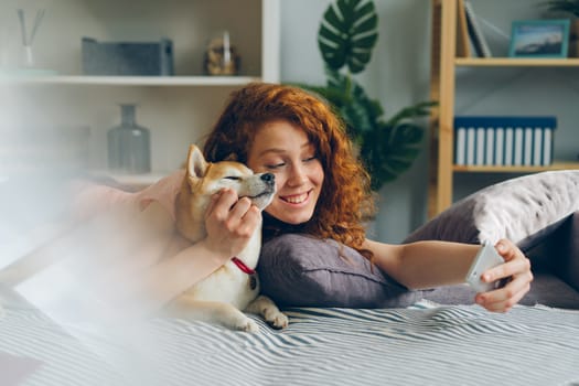 Lifetime Pet Insurance Policies What They Actually Cover