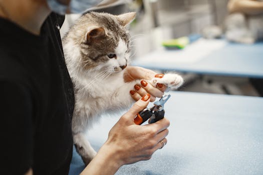 How Vet Choice Network Affects Your Insurance Coverage
