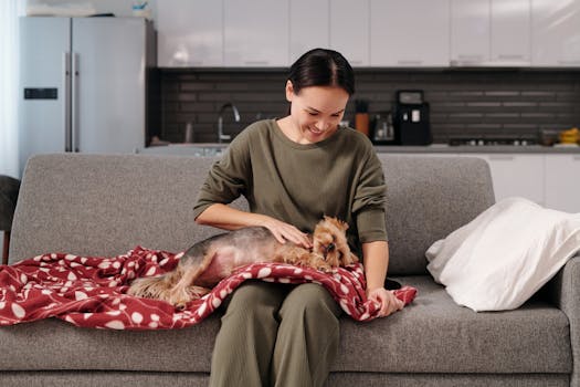 Emergency Room vs Regular Vet Insurance Claim Differences