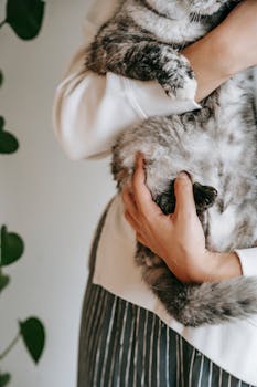 How to Handle Pet Grooming Allergies and Skin Reactions
