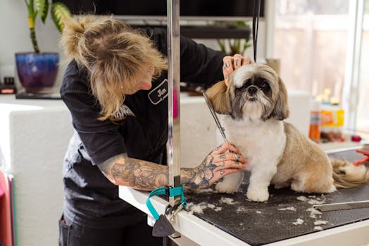 DIY Dog Haircuts at Home Tools and Techniques