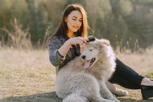 How to Deshed Your Dog Effectively During Blowing Season