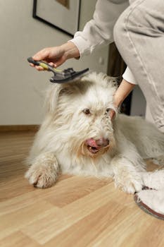 Essential Grooming Supplies Every New Pet Owner Needs
