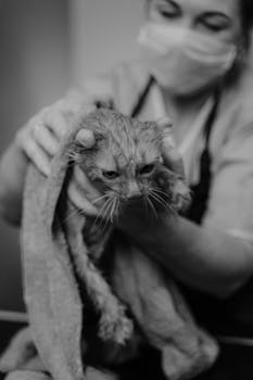 How to Properly Dry Your Dog After a Bath