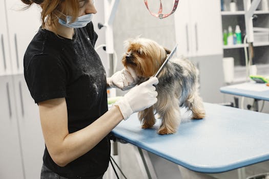 Best Grooming Products for Dogs with Sensitive Skin