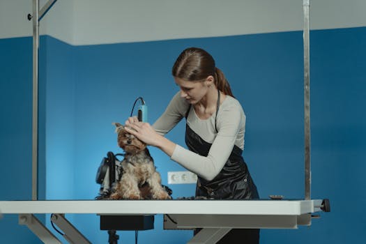 Grooming Frequency Guide for 20 Popular Dog Breeds