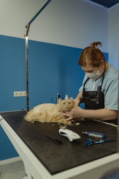 Complete Guide to Grooming Doodle and Mixed Breed Dogs