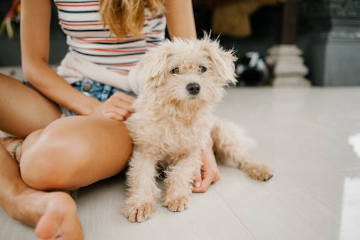 When to Worry About Your Dog Vomiting