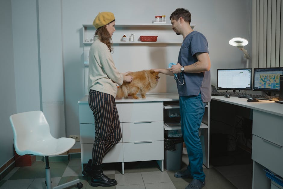 Complete Kitten Vaccination Schedule and Booster Guide