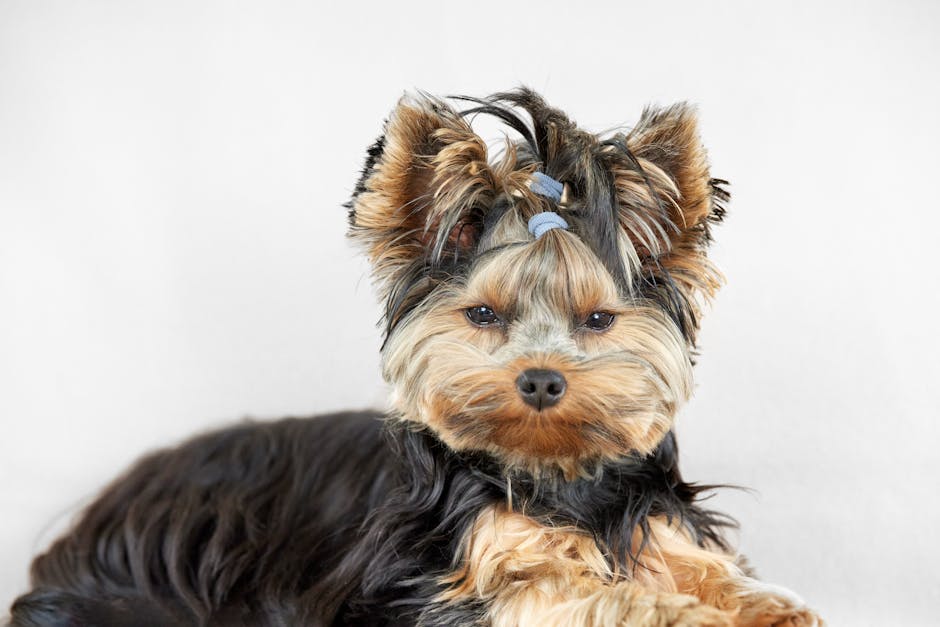 Which unique and uncommon male dog names stand out?