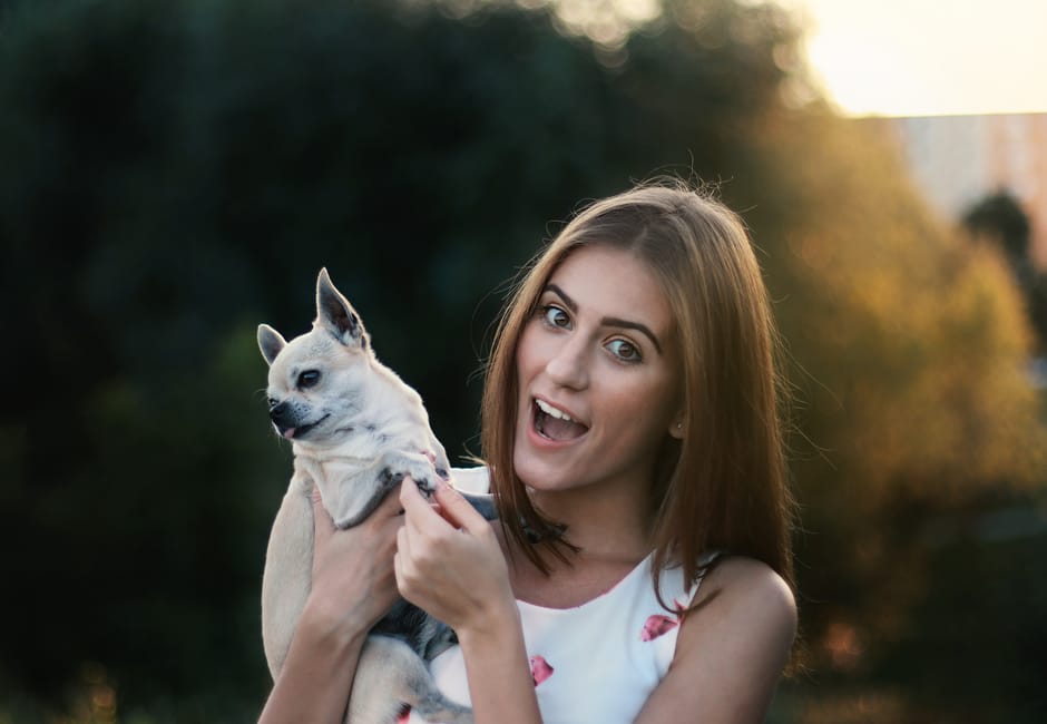 What Are the Benefits of a Bundled Pet Insurance Plan?