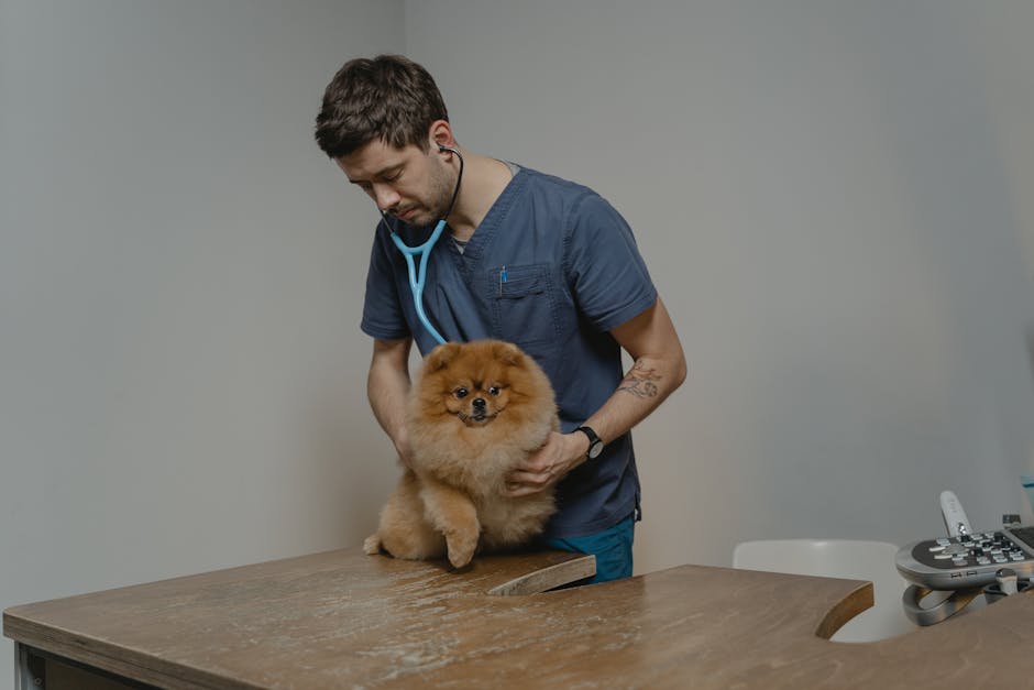 What is Hyperthyroidism in Cats?