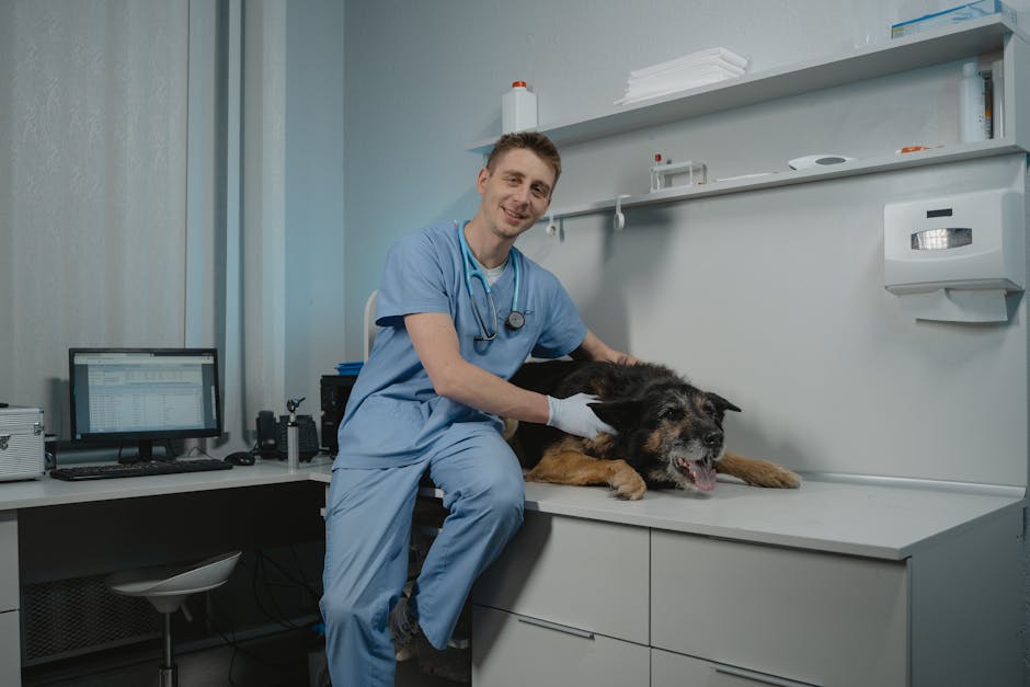 Which Key Nutrients Support Joint Health in Large Breed Puppies?