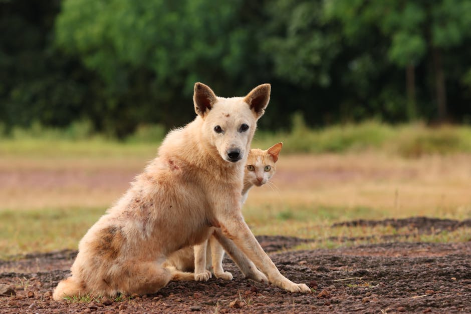 What Are the Most Common Types of Dog Skin Allergies?